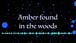 amber found in the woods (original)