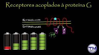 Farmacologia - Farmacodinâmica (Vídeo aula)