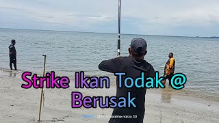 #StrikeIkanTodakBerusak Santai2 Hujung Minggu Bersama Sahabat2 #LabuanSurfcasting 🎣🐟🔛✌️👍