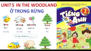 [TIẾNG ANH LỚP 2] Unit 5: In the woodland | Ở trong rừng | Biên soạn dựa theo sách mềm.