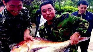 揭秘：姜太公是如何用直鉤捕魚的？|Secret: How did Jiang Taigong use straight hooks to fish?