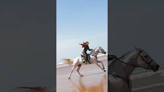 Akal Takhe the best horse to ride #horse #horseriding #beach #equestrian #horselover