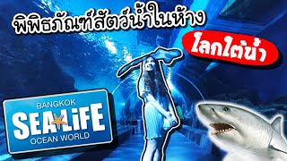 SEA LIFE Bangkok Ocean World - โลกใต้น้ำ พิพิธภัณฑ์สัตว์น้ำในห้าง !! | ArisajungWorld