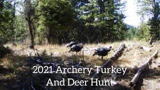 Archery Fall Deer and Turkey Scouting 2021