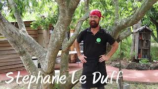 Stéphane Le Duff - traiteur spécialisé en cuisine végétalienne et végétarienne