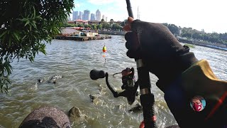 LIPAT ng BUAYANG BATO nang WALANG PARAMDAM sa MAKATI PARK FISHING SPOT