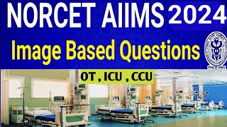 Norcet Aiims image based questions | norcet aiims important questions 2024 | #norcet_2024