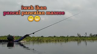 Spot Baru Waduk Delikguno || iwak ikan 🐠🐋🐟 kelaparan maseee