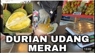 Durian Udang Merah vs Monthong | Red Prawn vs Monthong