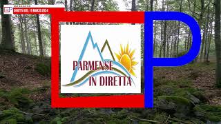 Parmense in diretta del 19 marzo 2024