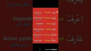 Bs Arabic القراءة والكتابة