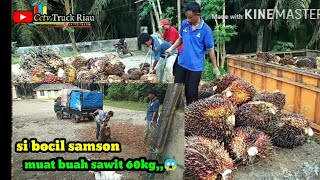 PROSES MUAT BUAH SAWIT DARI PERON KE TRUK.