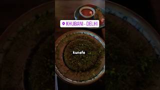 LUXURIOUS TURKISH RESTRAUNT AT KHUBANI DELHI #khubani#turkishfood #delhi #trendingshorts