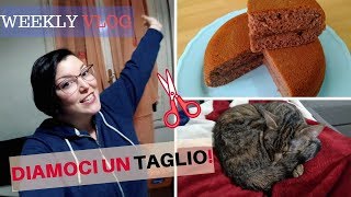 ★ DIAMOCI UN TAGLIO!!! ★ - VLOG | Weekly Vlog - SugarDany