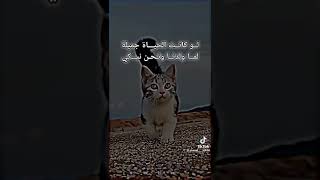 ثم تنظر إلى حياتك فتجدها متجهة إلى وجهة أخرى غير الأشياء التي كنت تنظر نحوها... 🖤🥀