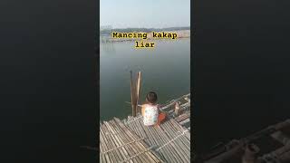 MANCING KAKAP BARRAMUNDI LIAR  DI MUARA #fishing #mancing #ikan