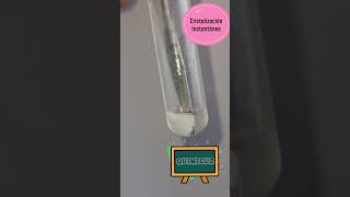 Cristalización instantánea #Cristalización #química #sal