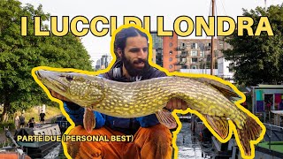 STREET FISHING A LONDRA: CATTURO uno dei PESCI piu' RARI! (ENG SUB)