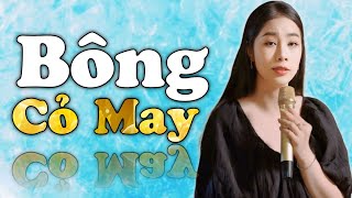 Bông Cỏ May - Thuý Phượng Bolero nhạc lính hay nhất