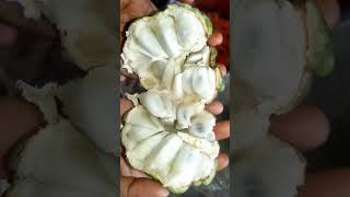 custard||apple||సీతాఫలం||seasonal fruit#ytviral #for more vedio s subscribe my channel 😋🙏