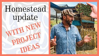 Permaculture homestead update | New exciting projects and ideas