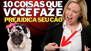 10 Coisas que Colocam em Risco a Saúde do seu Cão sem que Você Perceba