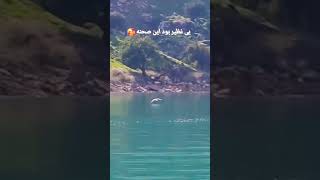 صحنه ایی بی نظیر 🥰🥰🥰 #سابسکرایب_یادتون_نره