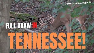 whitetail bow hunt in Tennessee