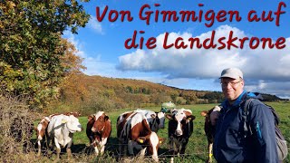 Von Gimmigen auf die Landskrone - Rundwanderweg 8 Bad Neuenahr-Ahrweiler