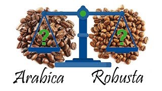 Coffee Basics: The Difference Between Arabica and Robusta Coffee Beans