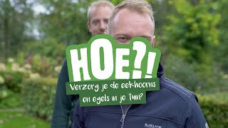 Hoe verzorg je de eekhoorns en egels in je tuin? | HOE?! | Welkoop