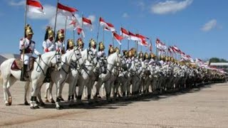 URGENTE: CAVALARIA CHEGANDO PARA POSSE DO BOLSONARO