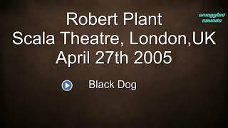 Robert Plant and the strange sensation - Live at BBC 2005