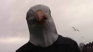 GullMan (fake) movie trailer.