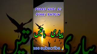 pyare nabi #shorts #islamic #viral