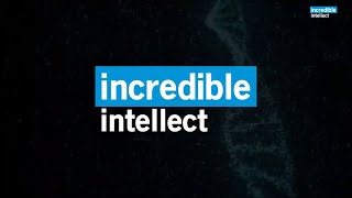 Incredible Intellect - Ranked #1 in 3 Categories of Financial Sector in IBSI Sales League Table 2021