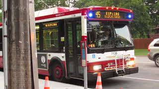 TTC Orion VII HEV #1136 on Kipling Avenue