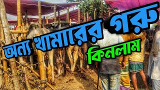 হযরতপুর হাট থেকে মহিষ কেনা হল না || হযরতপুর হাটে বড় গরুর দাম || Purbasha Agro