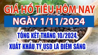 Giá tiêu hôm nay 1/11: tổng kết tháng 10/2024, xuất khẩu tỷ USD là điểm sáng