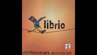 Xlibrio / Pensandote (Expresiones Musicales)