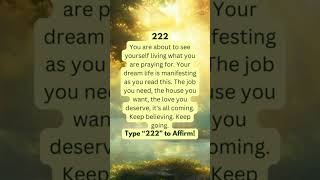 Angel Numbers 222 Meaning  #lawofattraction #manifestation #affirmations #motivation #spirituality