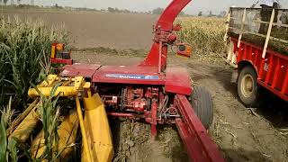 New Holland - Forage Harvester (FP230)