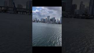 miami city Florida #glimpse #viral #shortsvideo #youtube#youtubeshorts #shorts #carnivalcruise #tour