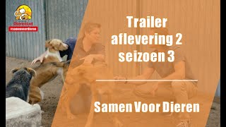 Trailer aflevering 2 - seizoen 3 van Samen Voor Dieren