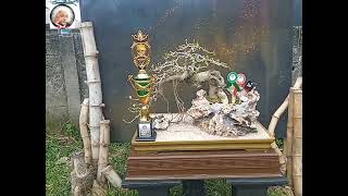 Part//2 Lomba Display di event Pamlok Bonsai RUBI'CABANG PASURUAN di Tutur //Komunitas LBB