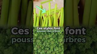 Ces stylos font pousser des arbres #arbres