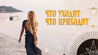 Что уходит? Что приходит? Коридор затмений | Helen Aaron | Расклад Таро