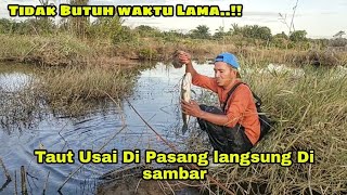 TIDAK BUTUH WAKTU LAMA..!! TAUT USAI DI PASANG LANGSUNG DI SAMBAR