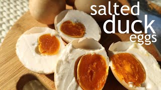 Salted Duck Eggs