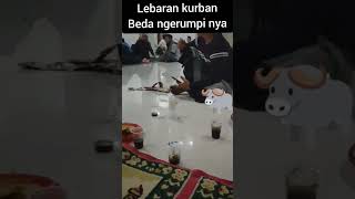 malam lebaran idul Adha.beda ngerumpi nya